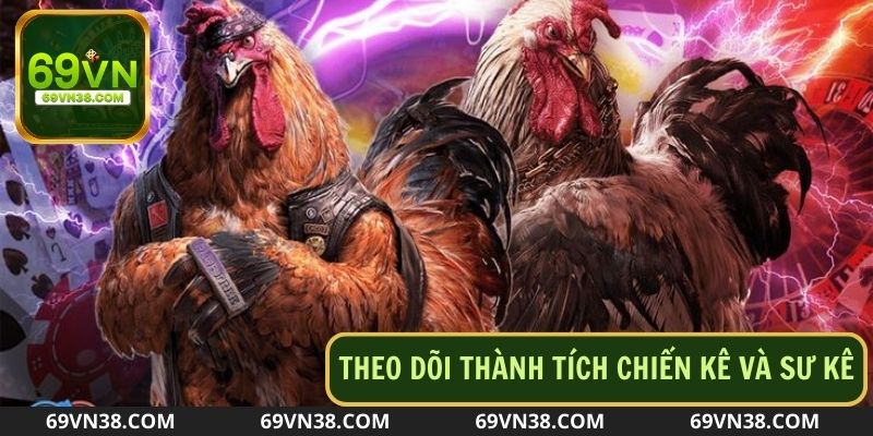 Theo dõi thành tích chiến kê và sư kê là cách thông minh nhất khi cá cược